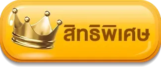 สิทธิพิเศษ tkbtop8